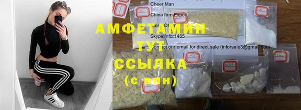 амф Каменка