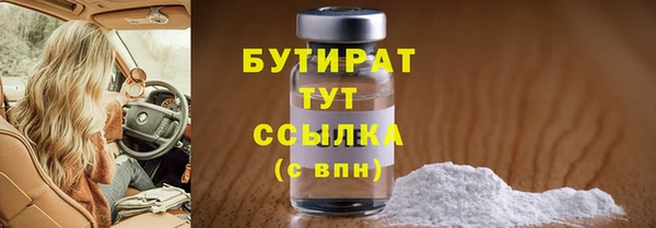 амф Каменка