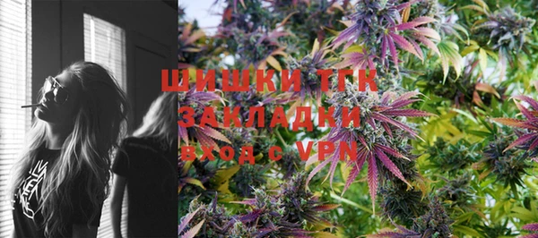 ECSTASY Инсар