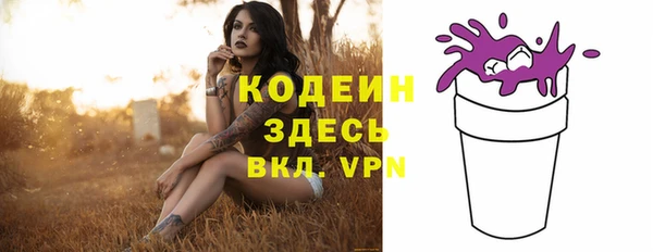 ECSTASY Инсар