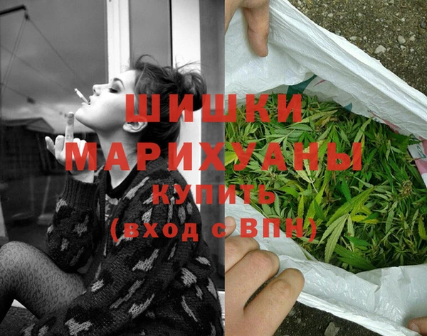ECSTASY Инсар