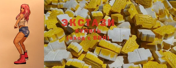 ECSTASY Инсар
