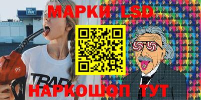 крисы Можга