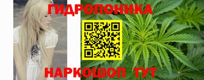 крисы Можга