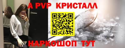 крисы Можга