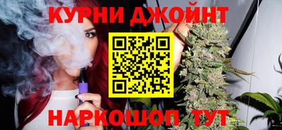 крисы Можга