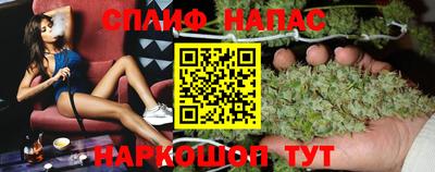 крисы Можга