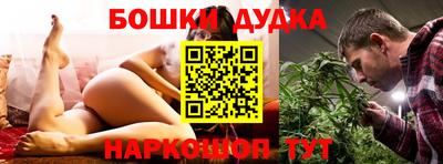 крисы Можга
