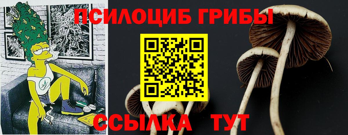 Можайск  Псилоцибиновые грибы MAGIC MUSHROOMS  Вход с VPN  Галлюциногенные грибы Magic Shrooms 